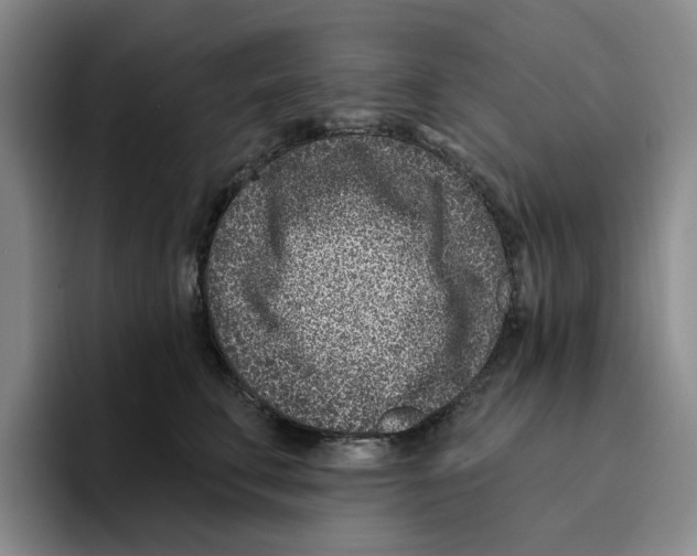 X0000096150711200802151354