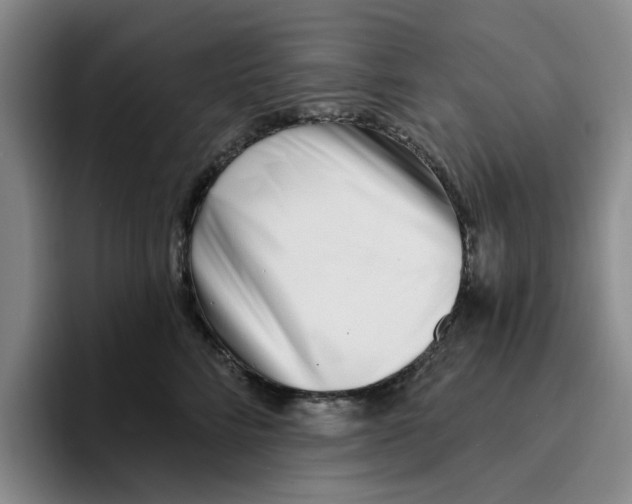 X0000096150712200802151354