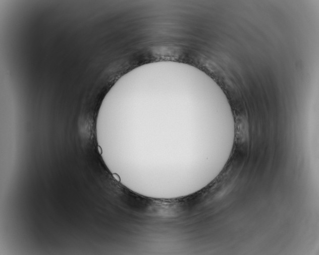 X0000096150713200802151354