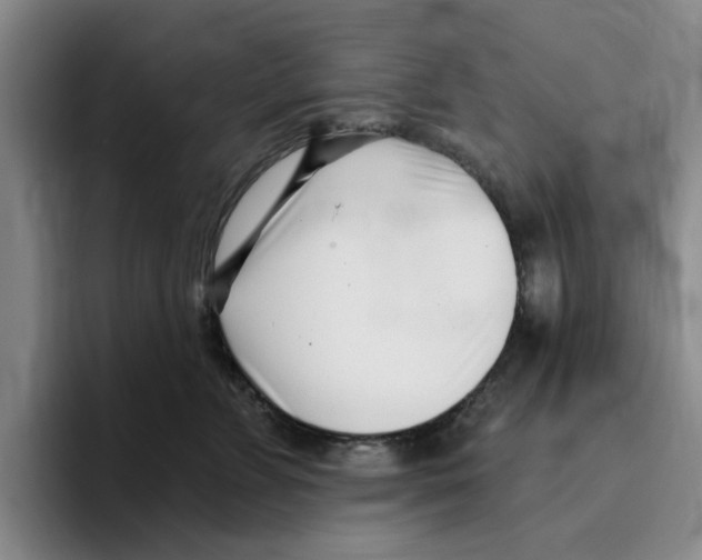 X0000096150715200802151354