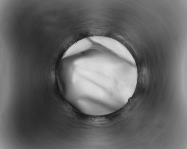 X0000096150716200802151354