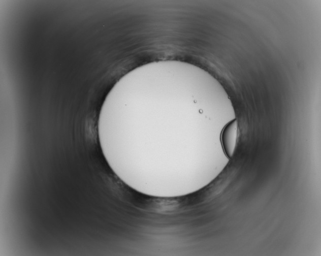 X0000096150719200802151354