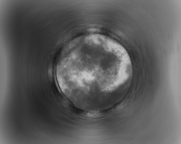 X0000096150720200802151354