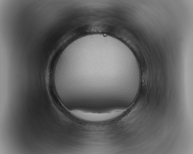 X0000096150722200802151353