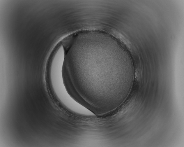 X0000096150724200802151353