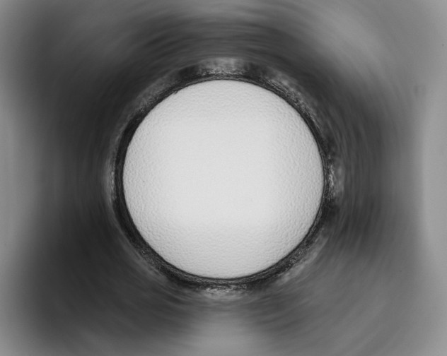 X0000096150725200802151353