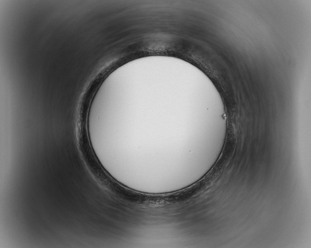 X0000096150728200802151354