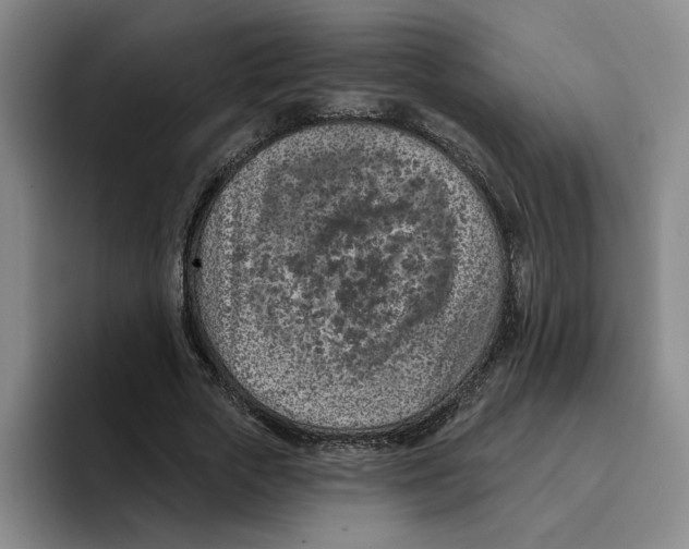 X0000096150729200802151354