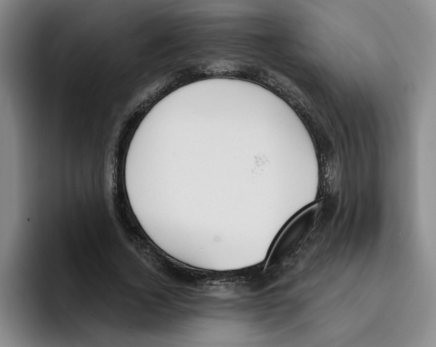 X0000096150732200802151354