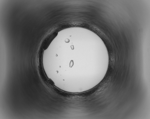 X0000096150734200802151354