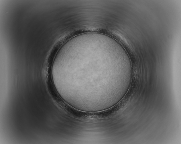 X0000096150736200802151354