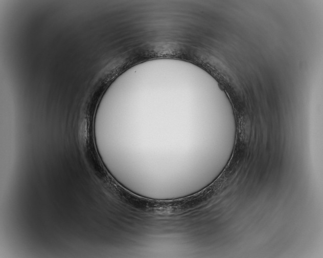 X0000096150740200802151354