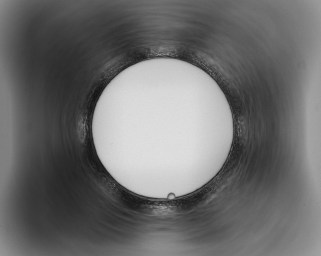 X0000096150741200802151354