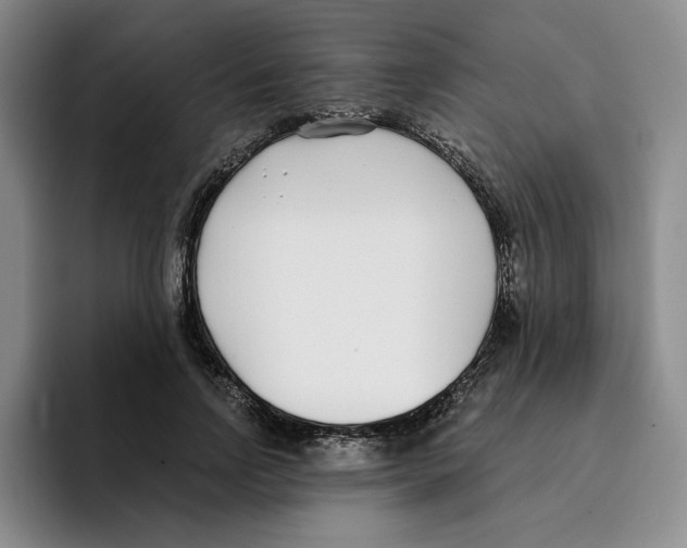 X0000096150742200802151354