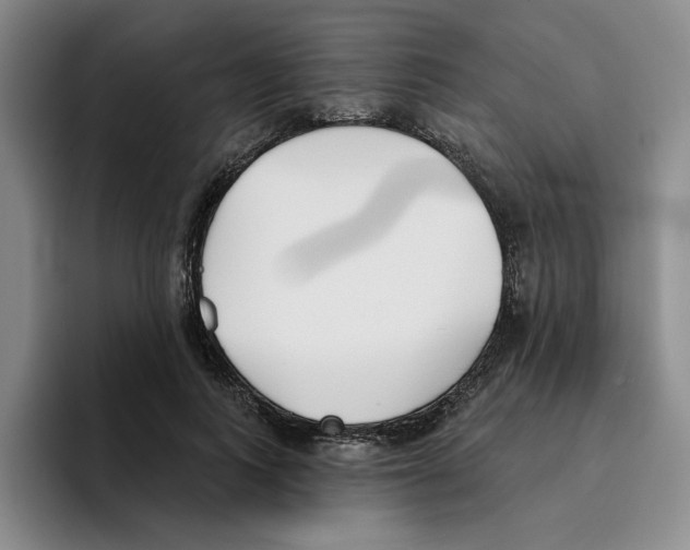 X0000096150743200802151354