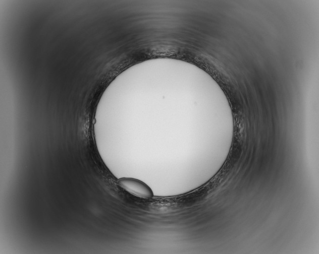 X0000096150745200802151354