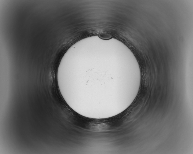 X0000096150747200802151354