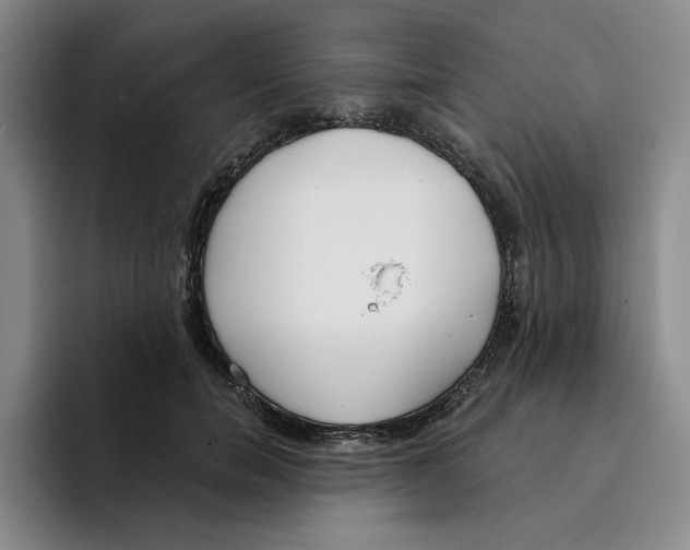 X0000096150750200802151354