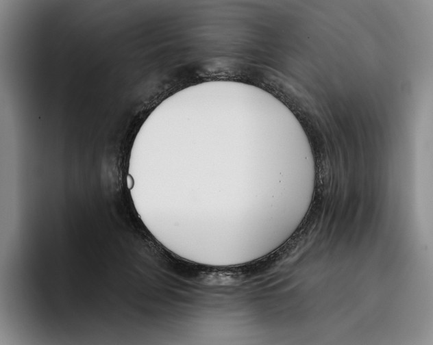 X0000096150751200802151354