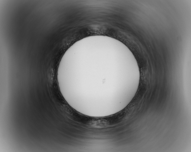 X0000096150752200802151354