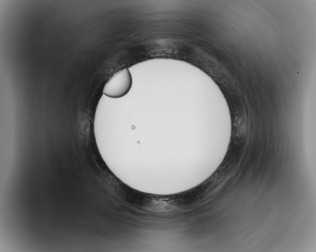 X0000096150753200802151354