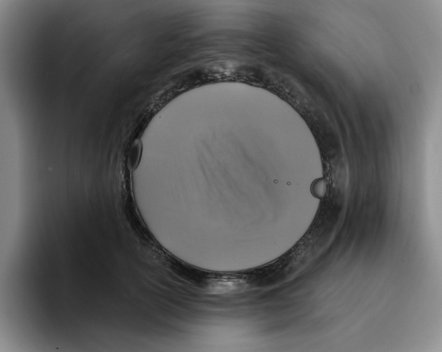 X0000096150754200802151354