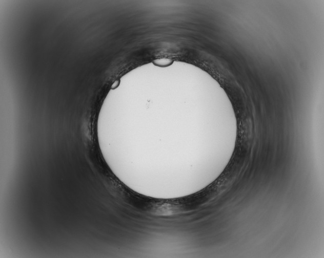 X0000096150755200802151354