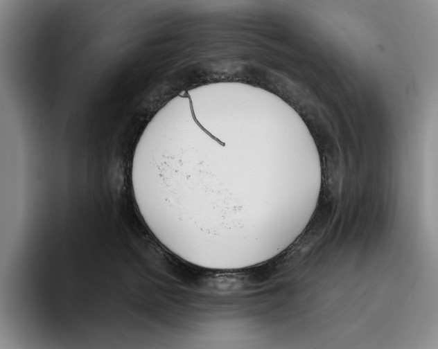 X0000096150758200802151354