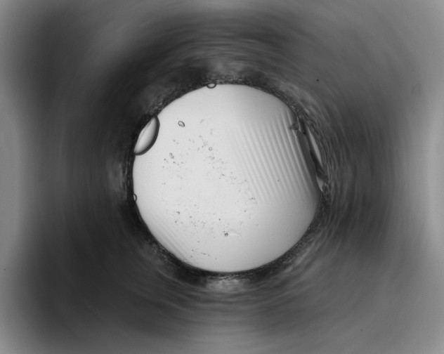 X0000096150759200802151354