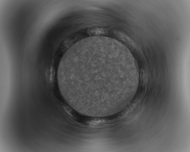 X0000096150760200802151354