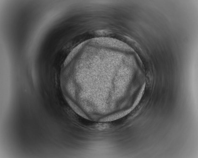 X0000096150762200802151354