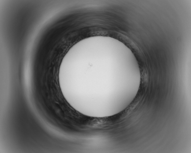 X0000096150764200802151354