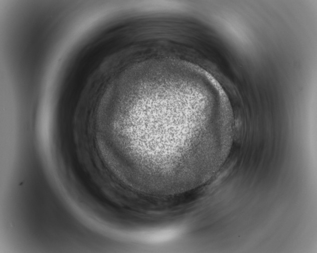 X0000096150765200802151354