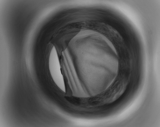 X0000096150766200802151354