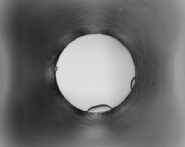 X0000096150768200802151354