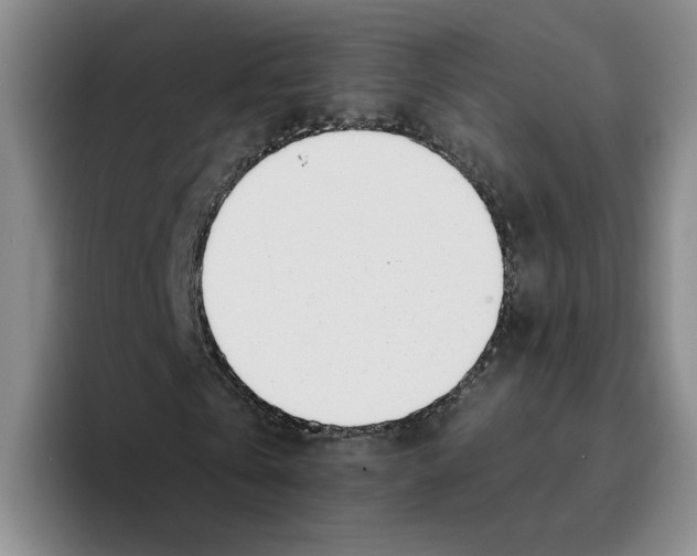 X0000096150769200802151353