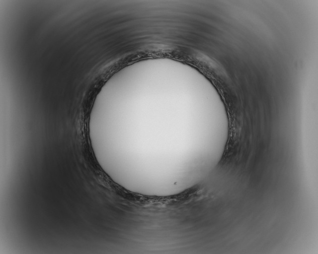 X0000096150773200802151353