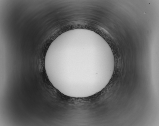 X0000096150774200802151353