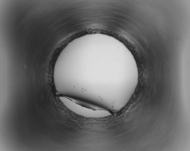 X0000096150775200802151353