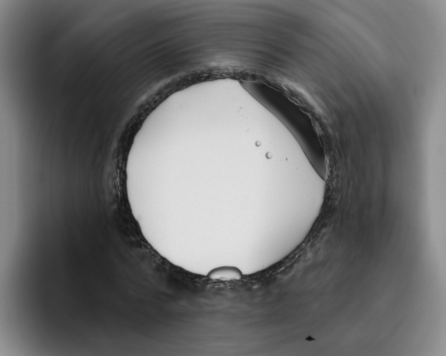 X0000096150776200802151353