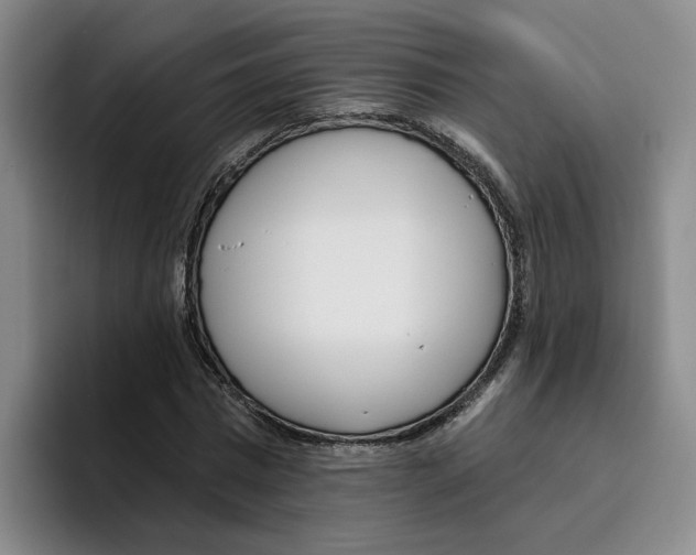 X0000096150777200802151353