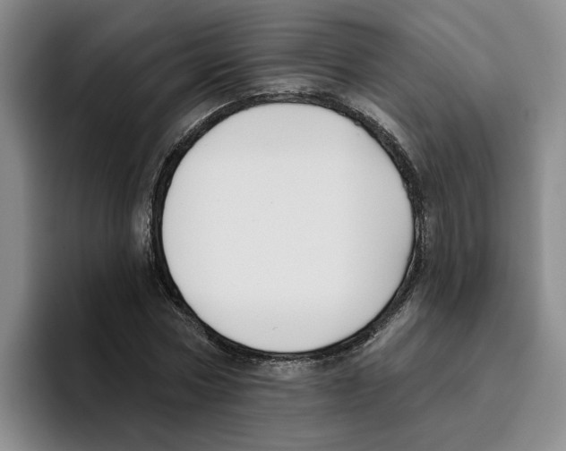 X0000096150778200802151353