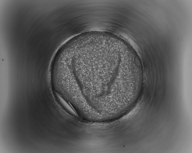 X0000096150779200802151353