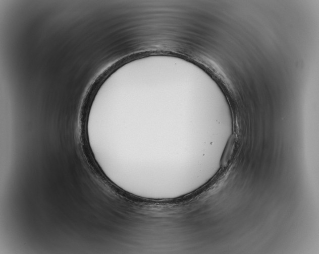 X0000096150780200802151353