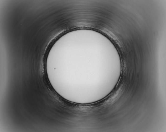 X0000096150782200802151353