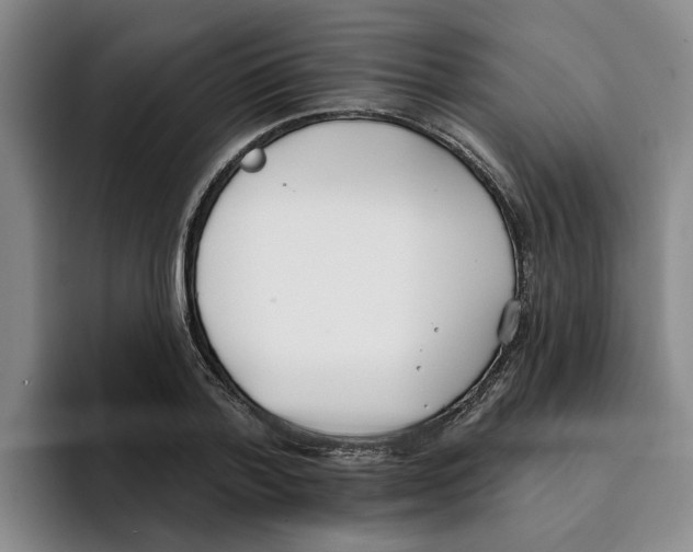 X0000096150788200802151353