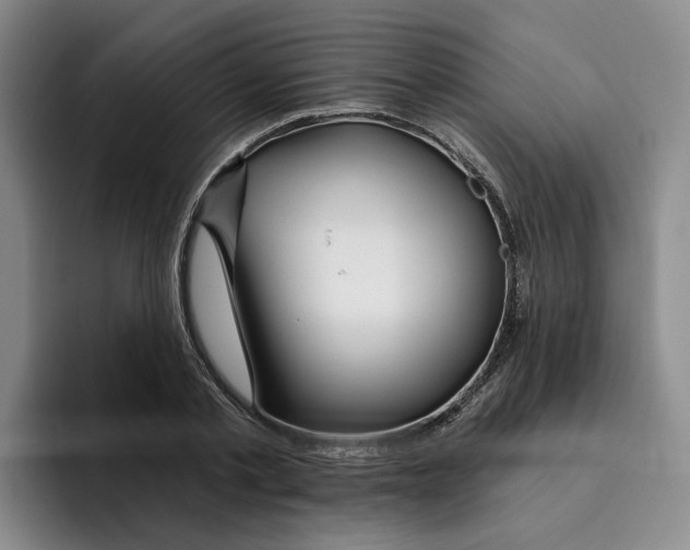 X0000096150789200802151353