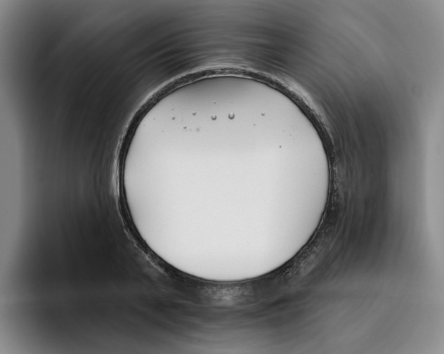 X0000096150791200802151353