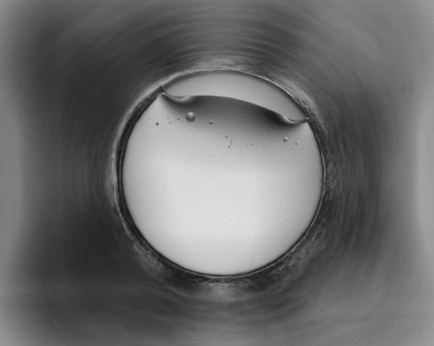 X0000096150792200802151353