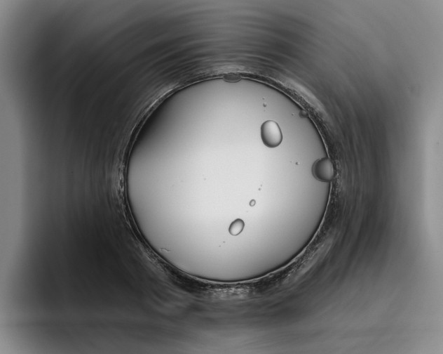 X0000096150793200802151353